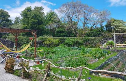 Quinta dos Sentidos Eco Nature Retreat in Azores - Photo 54