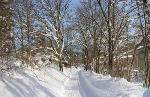 Quiet Garden Apartment - Foto 27