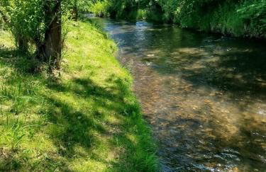 PRZYSTAŃ NAD BOBREM z Balią i Sauną - Foto 40
