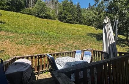 Le chalet de Bernoline vaste appartement tout confort - Foto 52