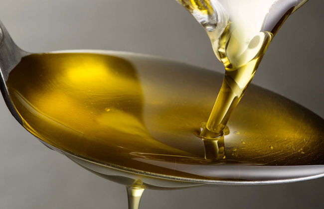 Cazorla Olive Oil Tasting - Photo 1