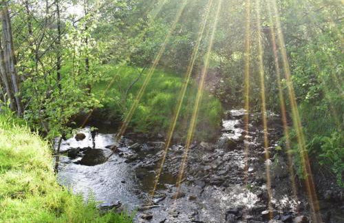 Quirky, Luxury Hideaway - Photo 23