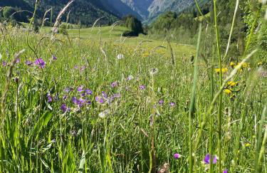 Apartment "Klein aber fein" - Foto 24