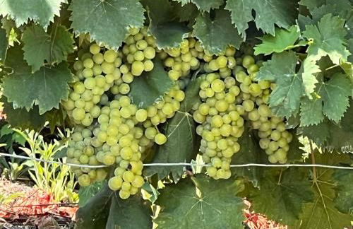 Casa della Torre - Villa with panoramic view - Foto 32