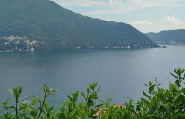 Little Garden House - Photo 18