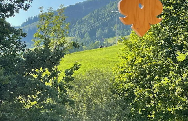 Chalet Hirschbach - Photo 49