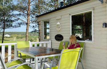 Holenderki na Zielonych Wzgórzach, Łowyń - Foto 15