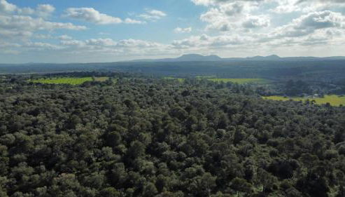 Magnifica Villa tranquila en el centro de Mallorca - Foto 4