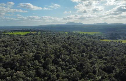 Magnifica Villa tranquila en el centro de Mallorca - Foto 4