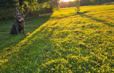 Siedlisko Magnolia - Foto 64