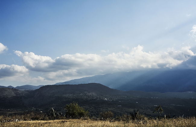 plakalona - Photo 19