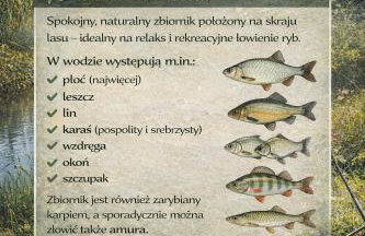 Leśny Azyl w Puszczy Kozienice - Foto 15