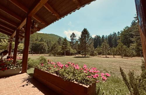 Woodhouse Xirolivado - Photo 12