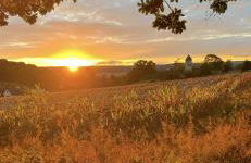 Ferienwohnung Ambiente 1 - Foto 29