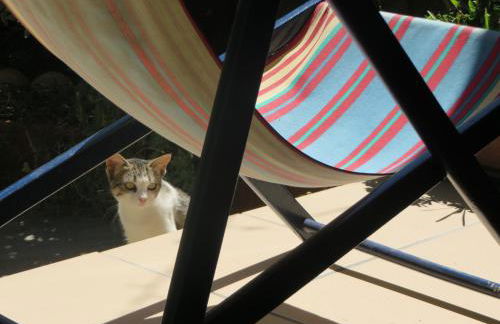 Lagon 173 - Maison de Vacances - 3 Chambres - Photo 15