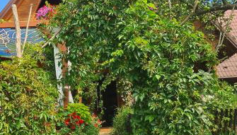 Miętowy Anioł - Foto 3