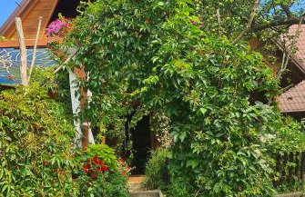 Miętowy Anioł - Foto 3