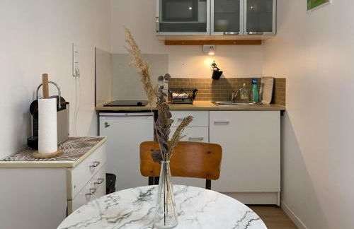 Ilbarritz, T2 proche plage/parking/terrasse - Foto 5