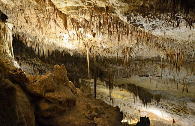 Excursión a las cuevas del Drach y Hams + Porto Cristo - Foto 5