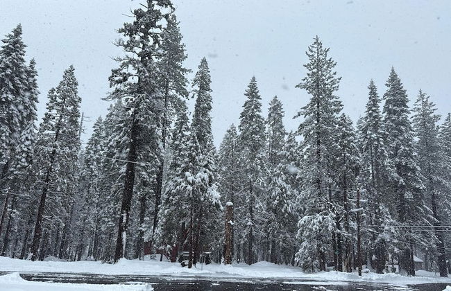 La Veranda - Photo 40