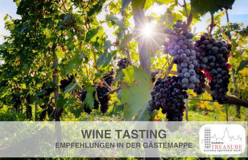 Hidden Treasure Mainz Altstadt - Rheinblick & Parkplatz im Haus - Foto 35