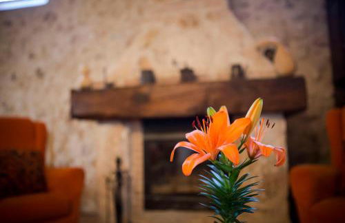 Casa Rural Casona la Beltraneja - Foto 1