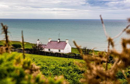 Red - Uk43121 - Foto 9