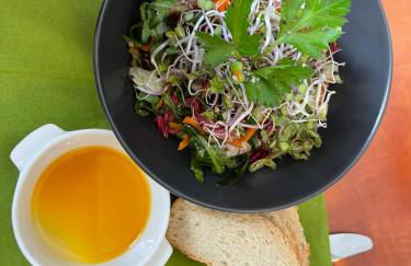 Naturnahes, neu möbl.Apartment, hundefreundlich - Foto 35