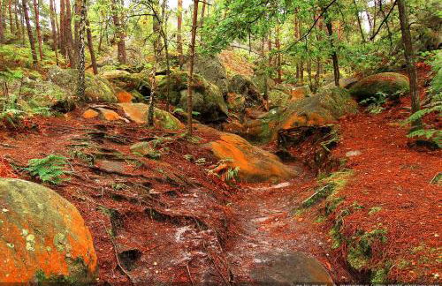 Millygite Cosy Loft - Foto 19