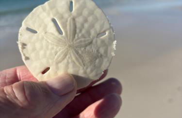 Waterscape White Sands - Foto 32