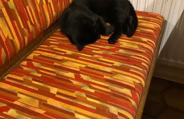 Gasthof zur Sägemühle - Foto 19