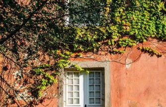 Wine Tourism - Quinta do Ameal - Foto 32