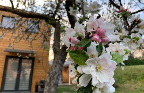 Cube Nature - Foto 7