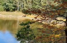 Harzquartier - Foto 59