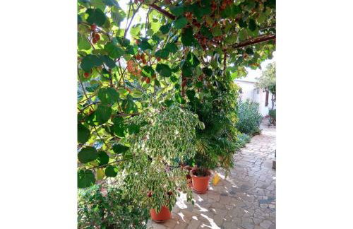 Apartment Gracijana - Photo 14