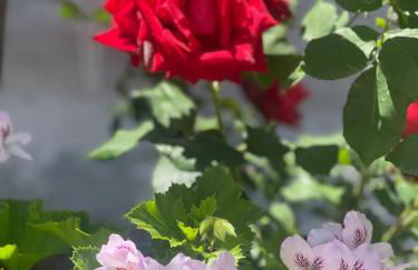 Casa Muriana - Foto 48