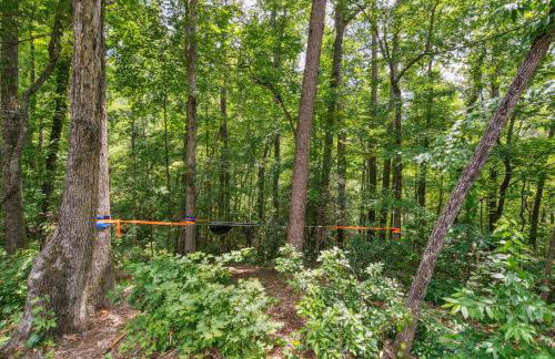 Pet-Friendly Lake Lure Cabin with Outdoor Oasis! - Foto 31