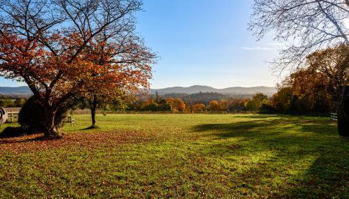 Garden flat near Goodwood with stunning views - Foto 4, Garden view