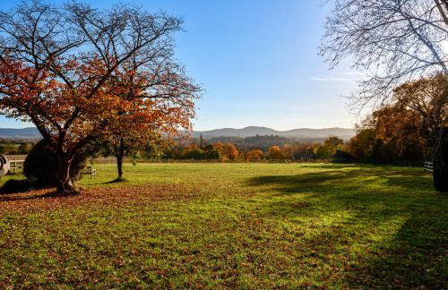 Garden flat near Goodwood with stunning views - Foto 4