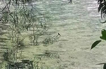 Tre metr sopra il cielo '' GiraSoli'' - Photo 49