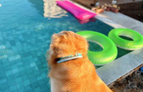 Casa Lajeiro - Foto 39