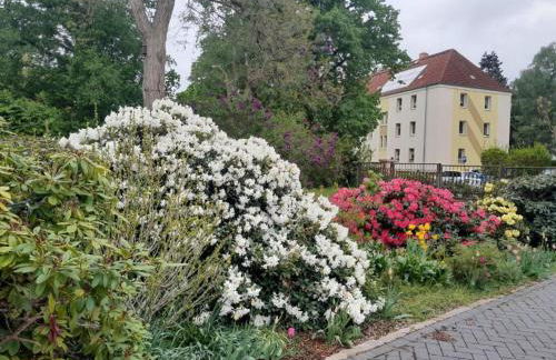 Kutscherhaus Werdau - Foto 9