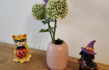 Ferienwohnung Apartment modern, bis 4 Personen, Altstadt fußläufig - Foto 20