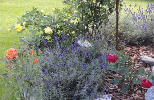 La Casa di Armando - Photo 80