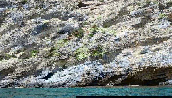 Bay of Ieranto Kayak Tour - Foto 3