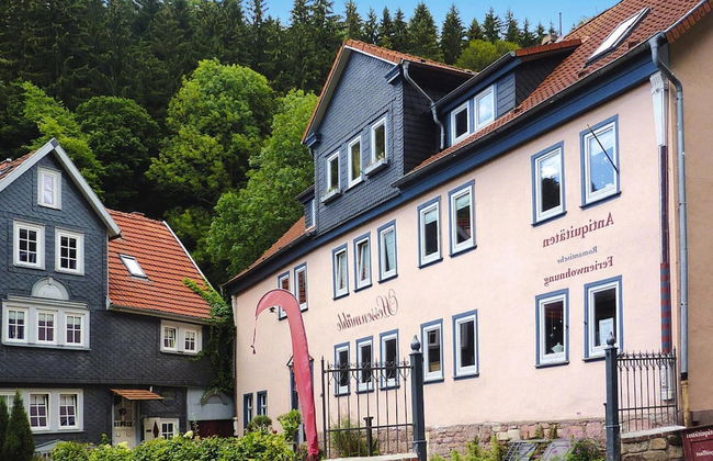 Ferienwohnung, Friedrichroda - Foto 13