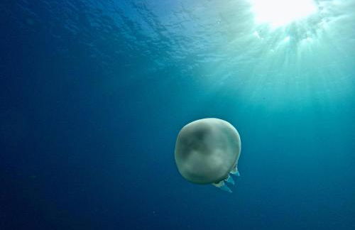 Mèna Mè - Casa vacanza - Salento - Foto 70