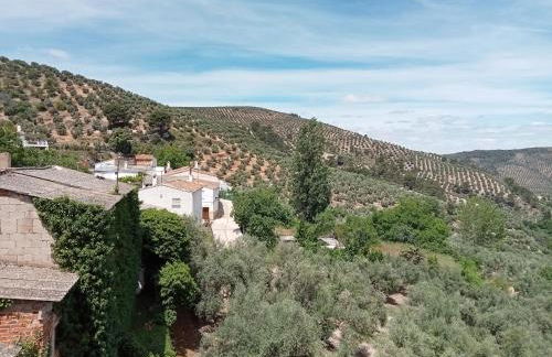 El Almendro De La Tia Teresa - Foto 24