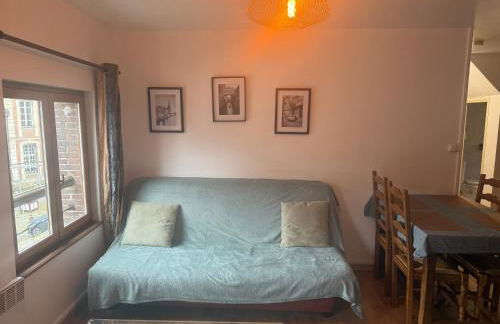 Grand Appartement lumineux 2ch. Ville historique. - Foto 10