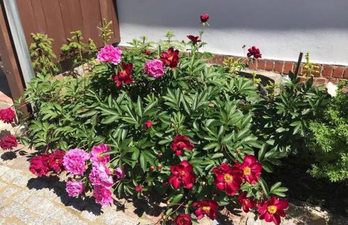 Siedlisko na Górce - Foto 36